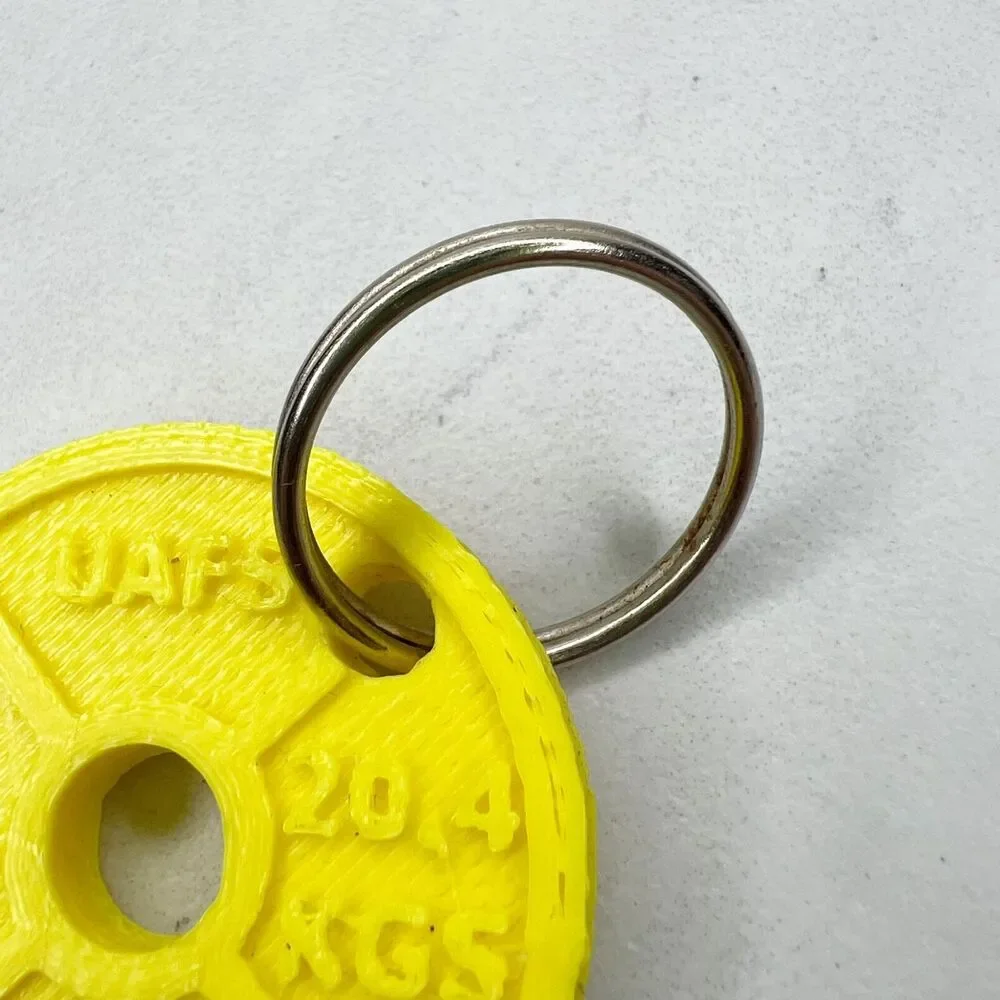 45 Lbs Weight Plate 3D Printed Keychain Keyring